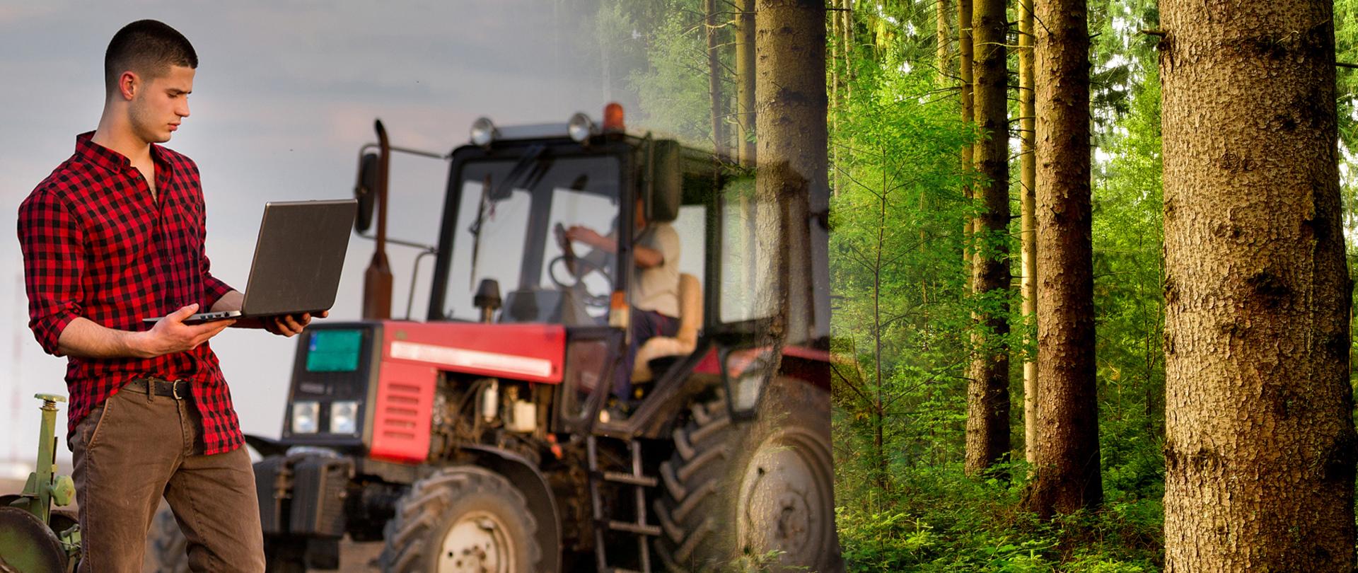 Ekosystemy leśne, premie dla młodych rolników, restrukturyzacja małych gospodarstw