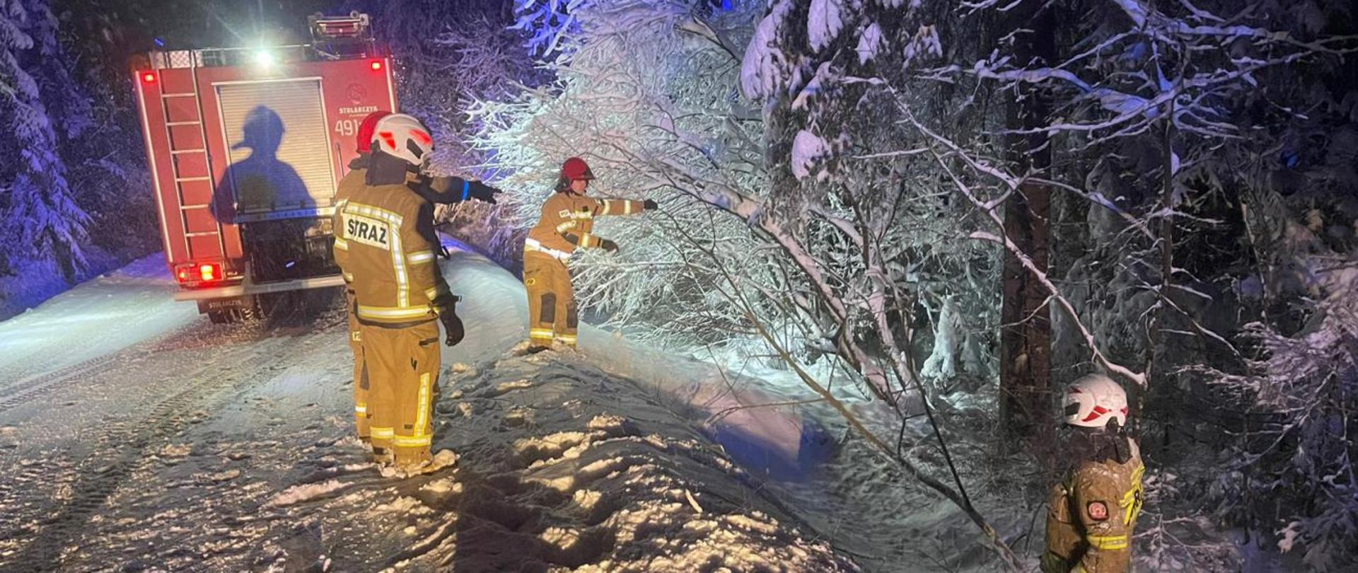 Powalone drzewa, zerwane linie energetyczne