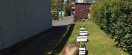 zdjęcie przedstawia przedszkolny ogródek, dwoje przedszkolaków podlewa rośliny