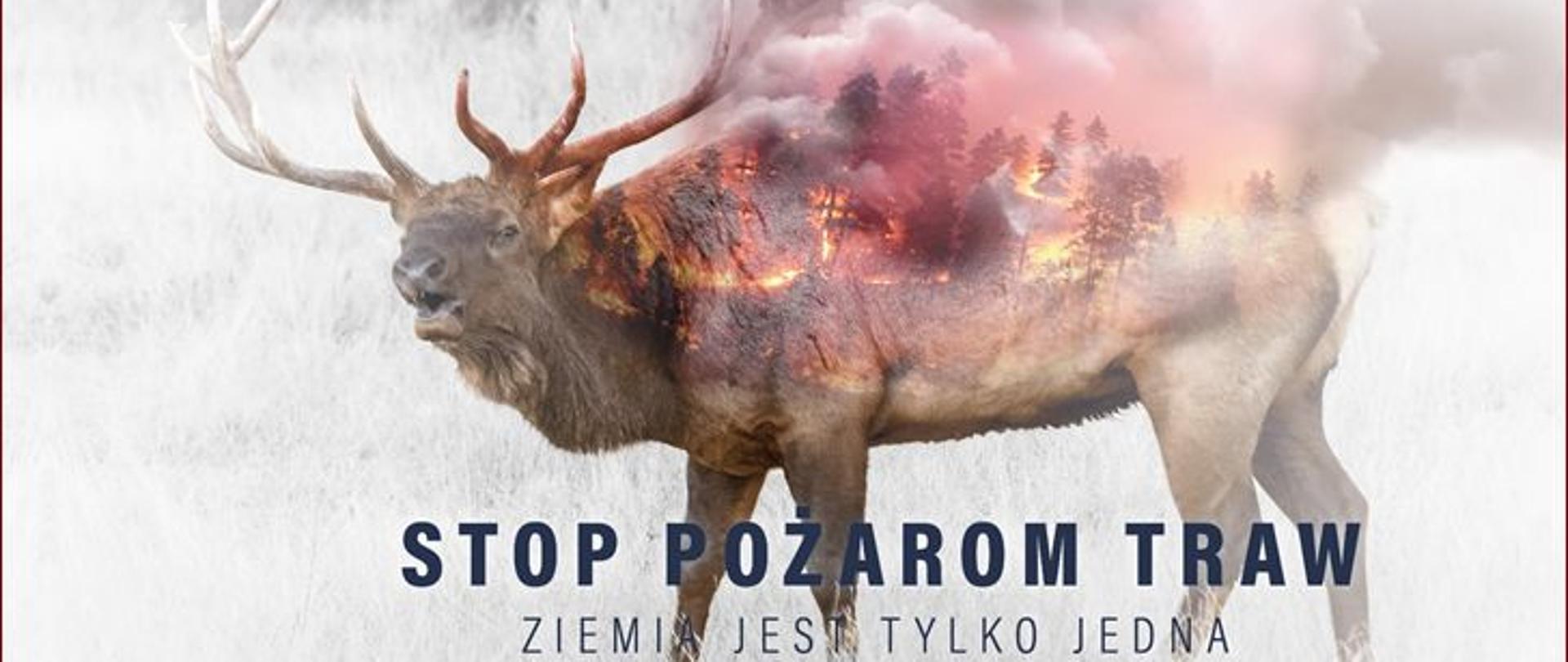 STOP Pożarom Traw