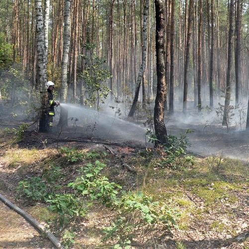 Bezpieczeństwo pożarowe w lasach