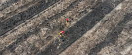 Na zdjęciu widok „z lotu ptaka”. Wypalone pasy gruntu, kikuty drzew, dwóch strażaków w piaskowych mundurach i czerwonych hełmach na głowach.