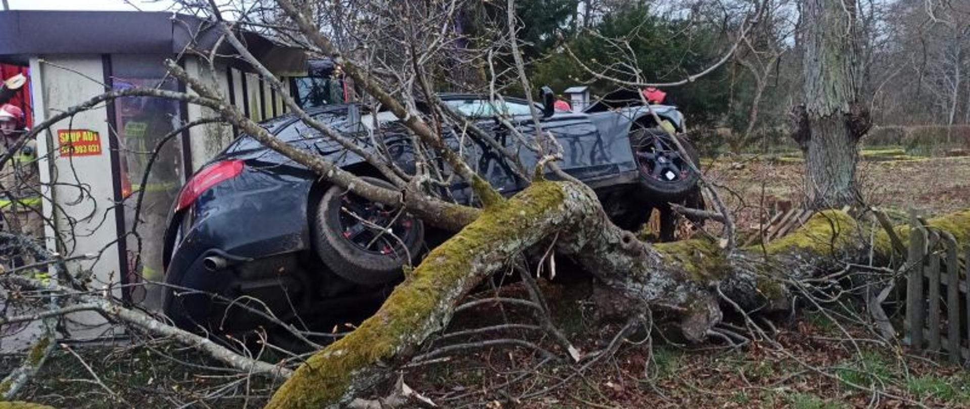 Widok na rozbite auto z boku. Auto leży na ściętym podczas zderzenia drzewie. Jest mocno przechylone. Auto jest koloru ciemnego z czarnymi felgami.