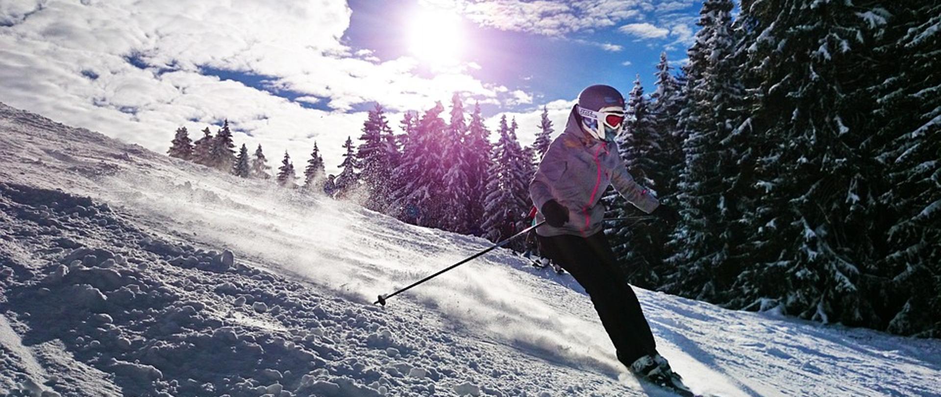 Narciarz zjeżdża ze stoku na tle drzew iglastych oraz świecącego słońca