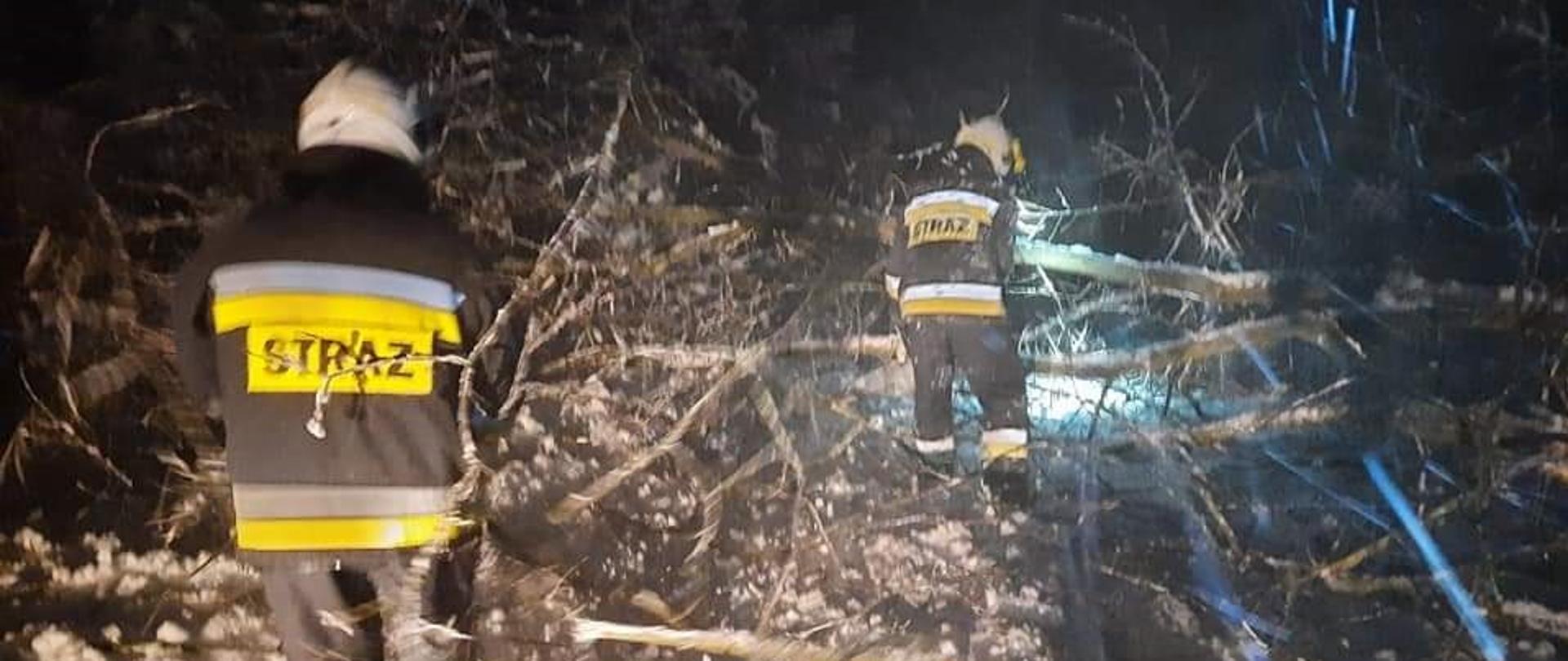 Dwóch strażaków pracujących przy cięciu drzewa powalonego na drogę na skutek intensywnych opadów śniegu.