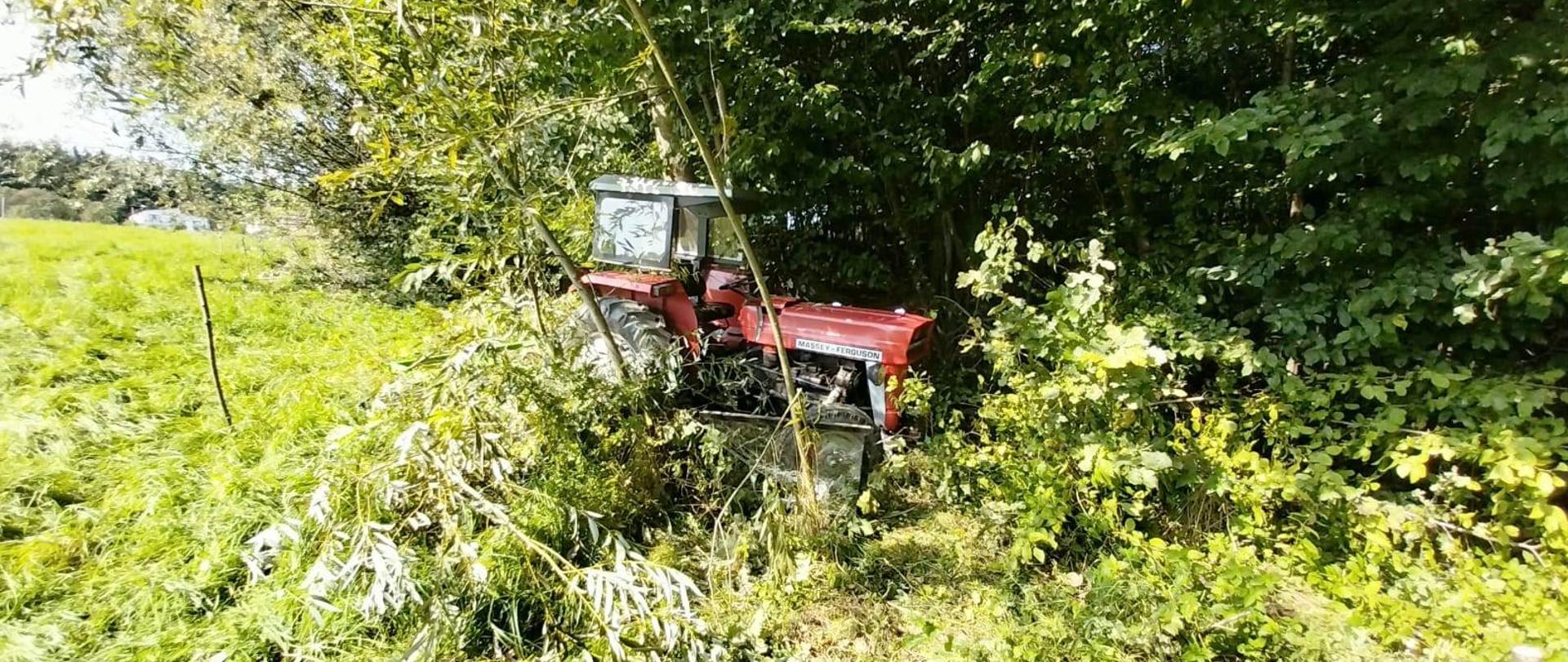 Widok ciągnika w zaroślach