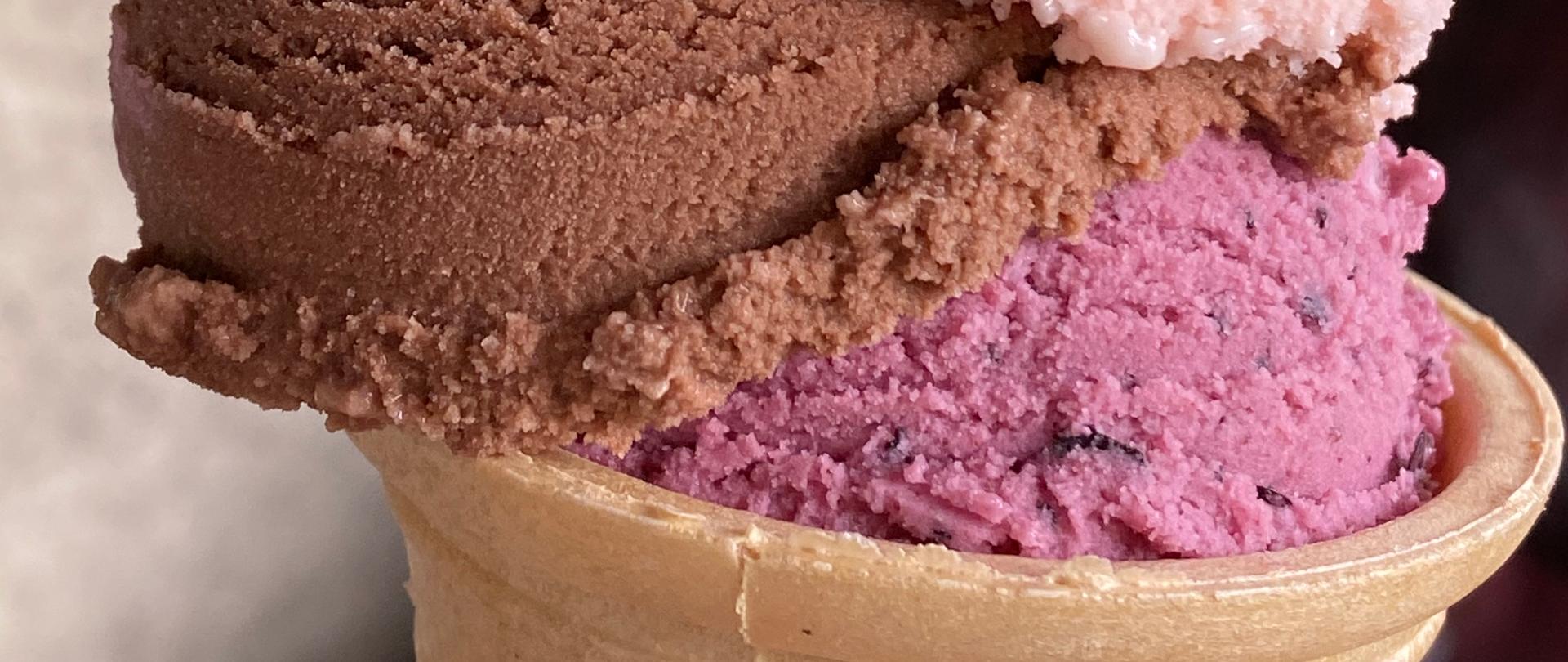 roztoczańskie lody z Józefowa