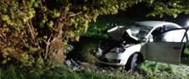 Zdjęcie przedstawia samochód osobowy Skoda Rapid po zderzeniu z drzewem