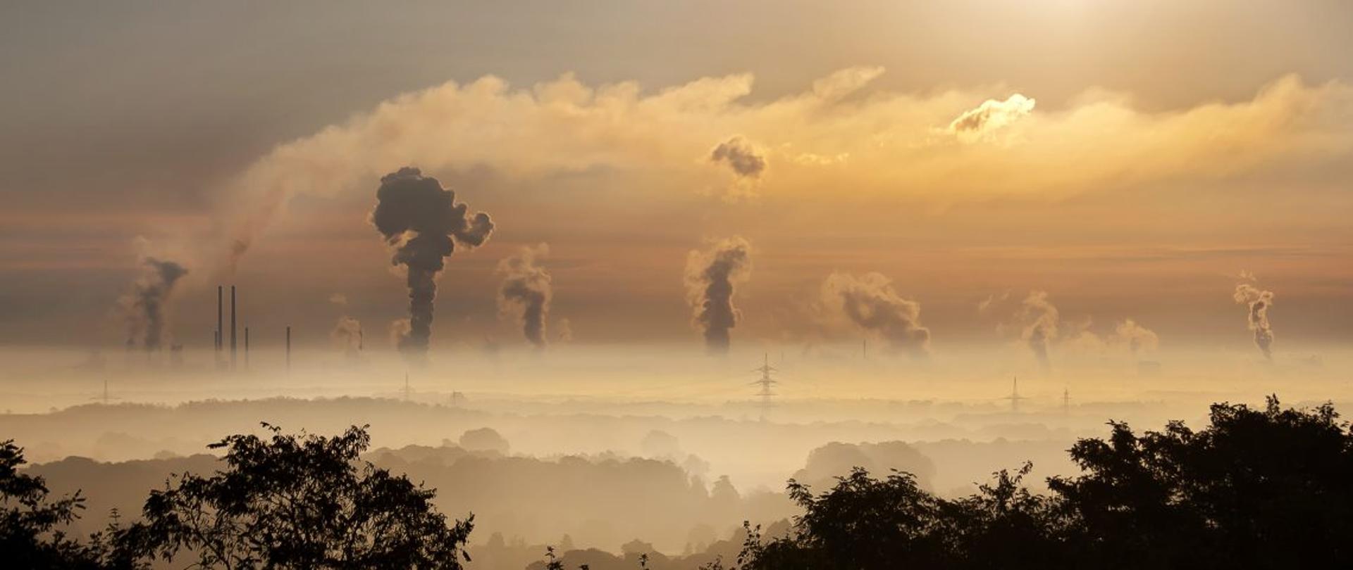 Oddziaływanie przedsięwzięcia na środowisko