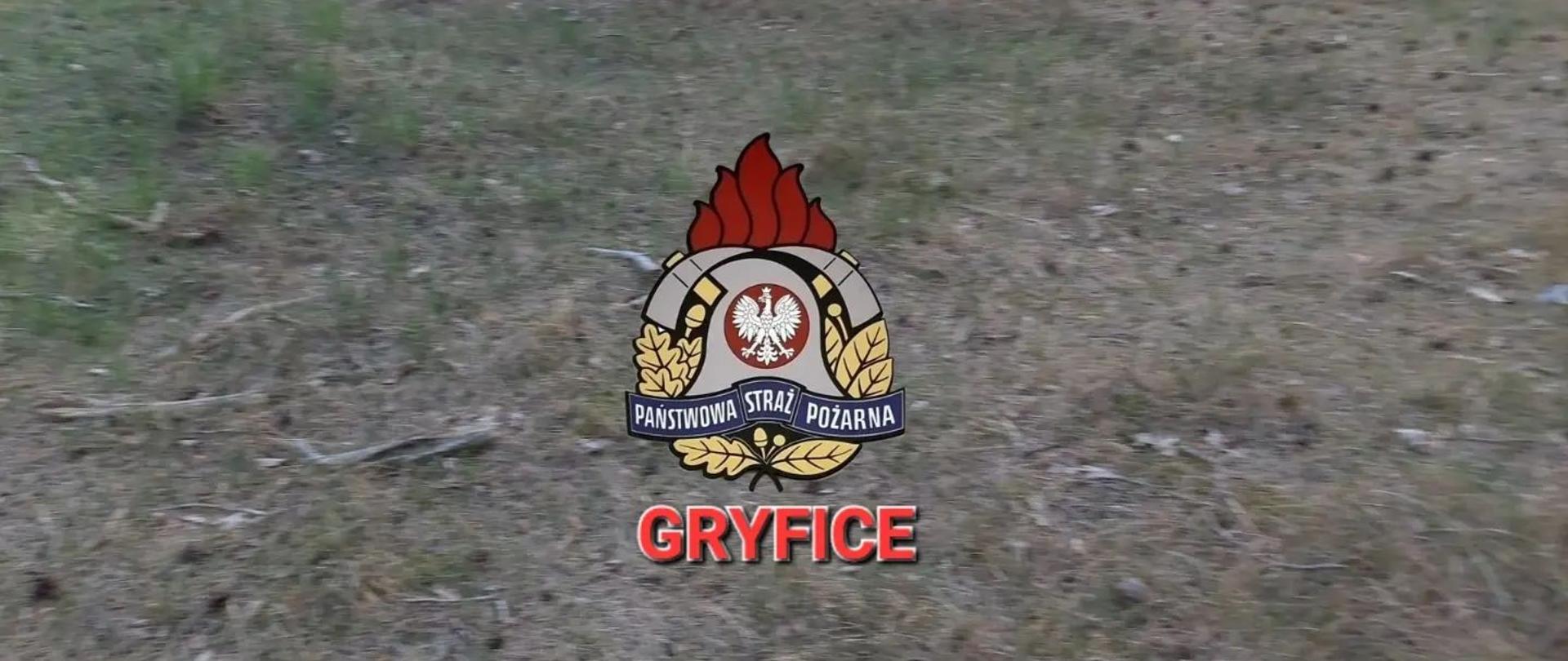 Pobierowo - pożar poszycia leśnego