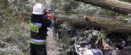Strażak przecinający przewrócone drzewo na samochód 