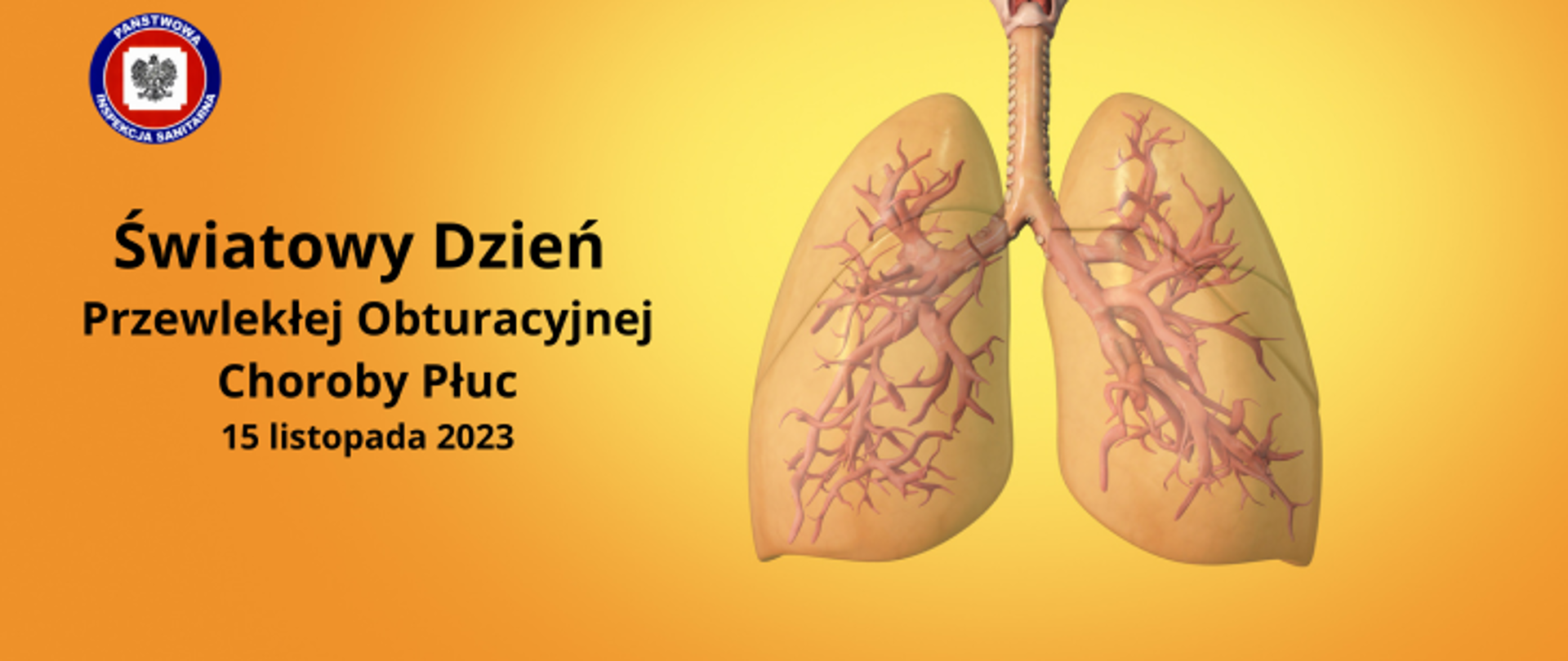 Grafika w pomarańczowym kolorze, z prawej strony rysunek ludzkich płuc, z lewej napis Światowy Dzień Przewlekłej Obstrukcyjnej Choroby Płuc 15 listopada 2023, w lewym górnym rogu logo Państwowej Inspekcji Sanitarnej.