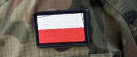 Wojsko Polskie na ratunek Słowenii