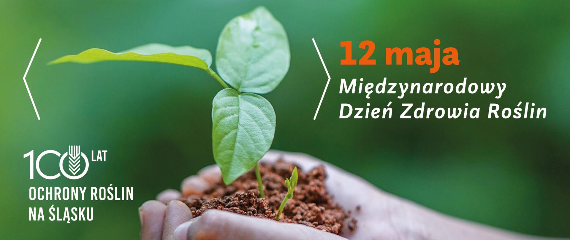 Grafika z informacją, że 12 maja jest Międzynarodowy Dzień Zdrowia Roślin, na grafice widoczny jest tekst i w tle roślinka w ziemi trzymana w dłoniach