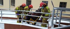 Na zdjęciu strażacy w ubraniu specjalnym w kolorze piaskowym oraz w hełmach, wnoszą starszą kobietę na wózku transportowym do budynku szpitala. W tle budynek szpitala