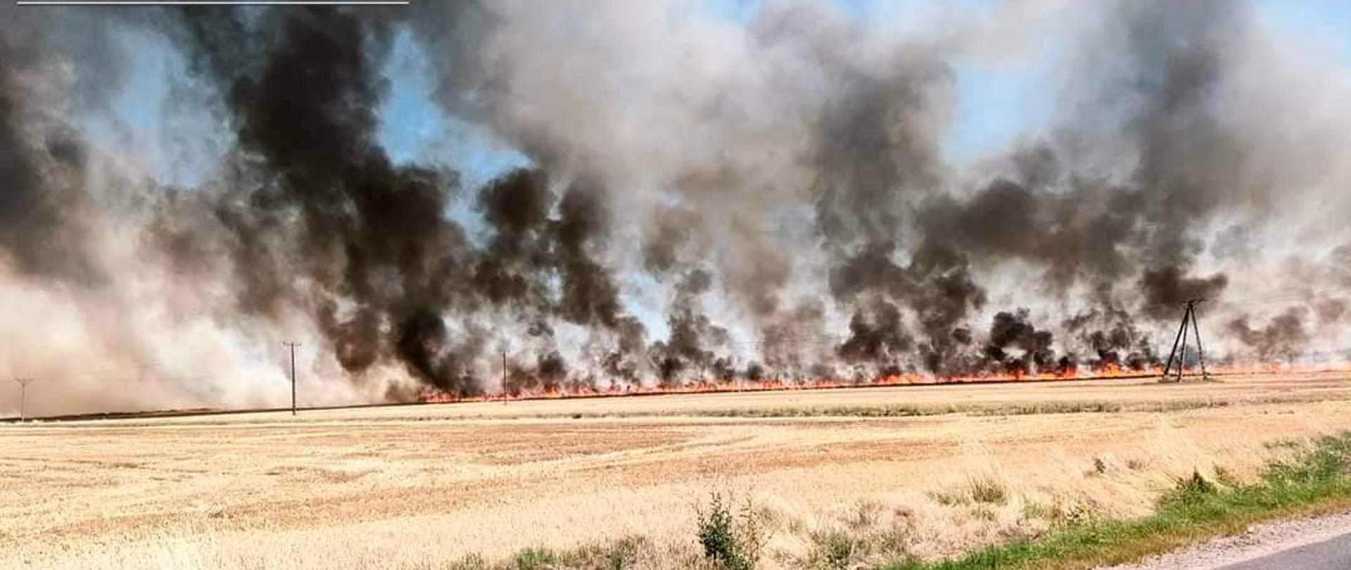 Obraz przedstawia płonące zboże na pniu. Widoczne duże zadymienie. Pora dzienna.