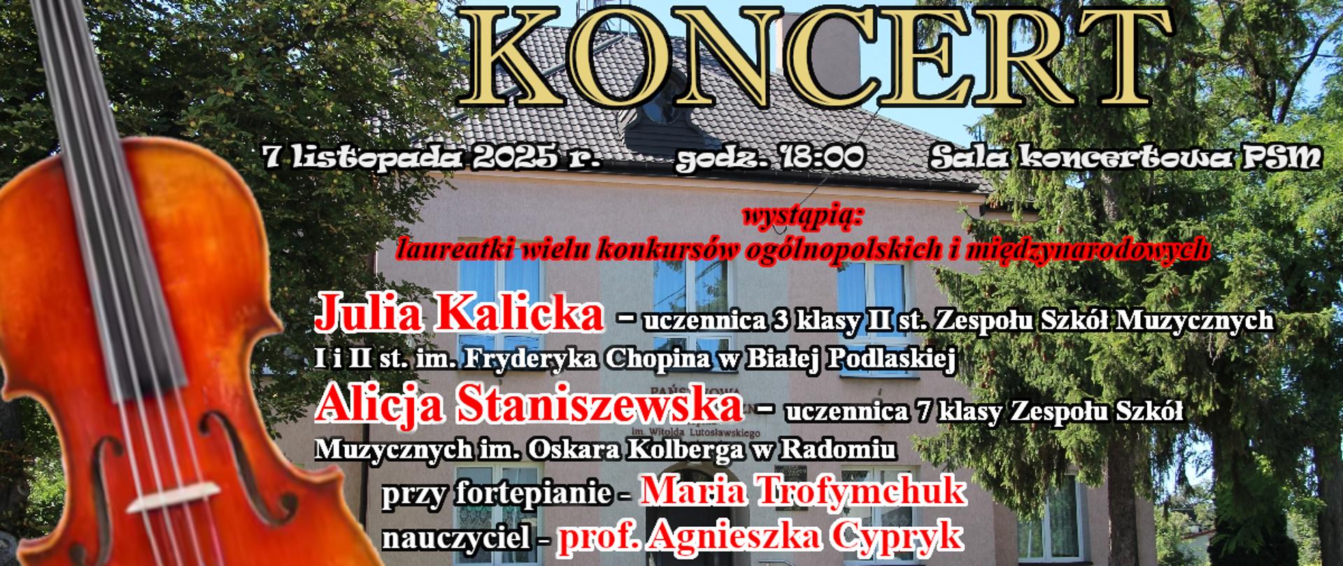 W tle widoczny jest budynek szkoły otoczony drzewami, na pierwszym planie po lewej stronie duży, pionowo ustawiony instrument — skrzypce w ciepłym, brązowo-pomarańczowym kolorze. Na górze plakatu widnieje biały pasek z nazwą szkoły. Pod nim, dużymi złotymi literami z czarnym konturem napis: „KONCERT”. Niżej, na tle budynku szkoły, informacje o wydarzeniu datę, godzinę i miejsce i informację o wykonawcach, akompaniatorze i nauczycielu solistów. W dolnej części plakatu, w przezroczystym prostokącie, znajduje repertuar koncertu. Kolorystyka plakatu utrzymana jest w naturalnych tonach – tło stanowi zdjęcie szkoły w słoneczny dzień, dominują odcienie zieleni i beżu. Napisy są czarne, białe i czerwone, a całość ma klasyczny, elegancki charakter.
