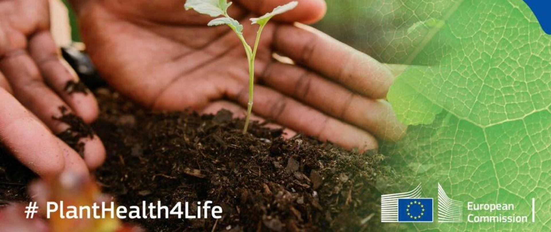 PlantHealth4Life