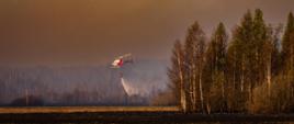 Śmigłowiec lasów państwowych dokonuje zrzut wody na teren leśny.