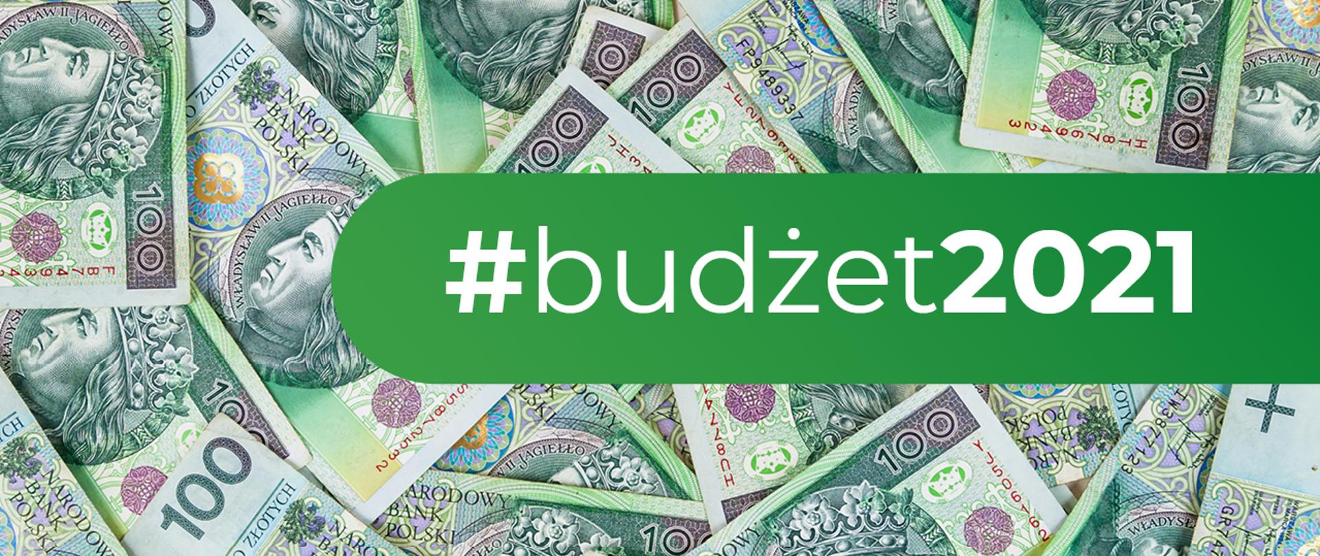 W tle banknoty, na zielonym polu napis #budżet 2021.