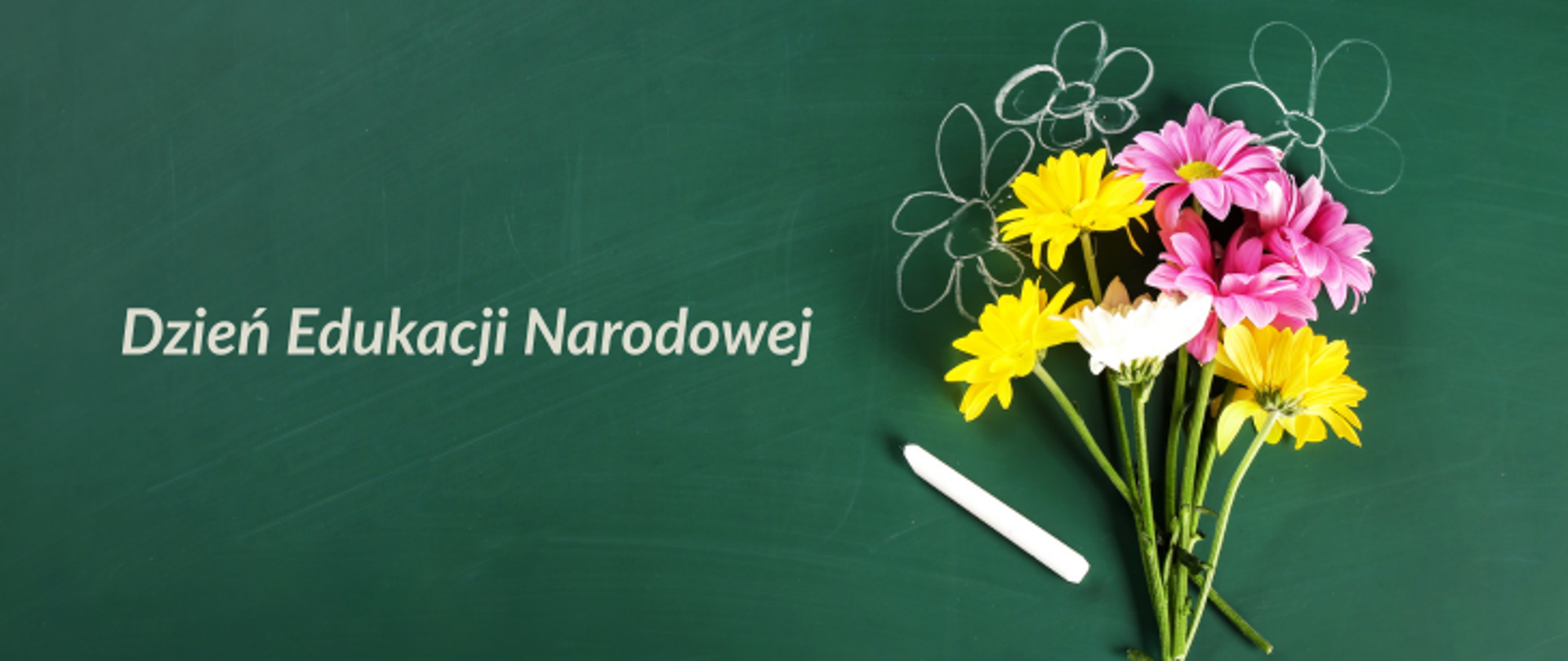 Na tle zielonej tablicy szkolnej po prawej stronie bukiet kolorowych kwiatów: żółtych, różowych i białych. obok kawałek białej kredy szkolnej. Po lewej stronie napis: Dzień edukacji narodowej.