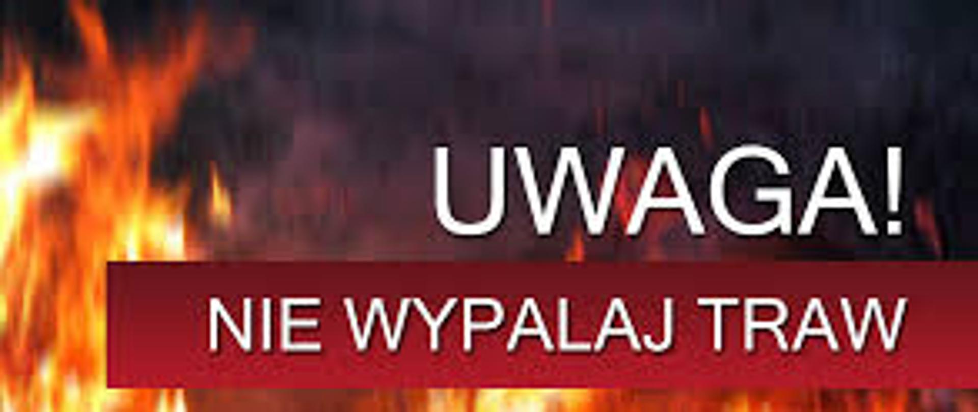 Nie wypalaj traw