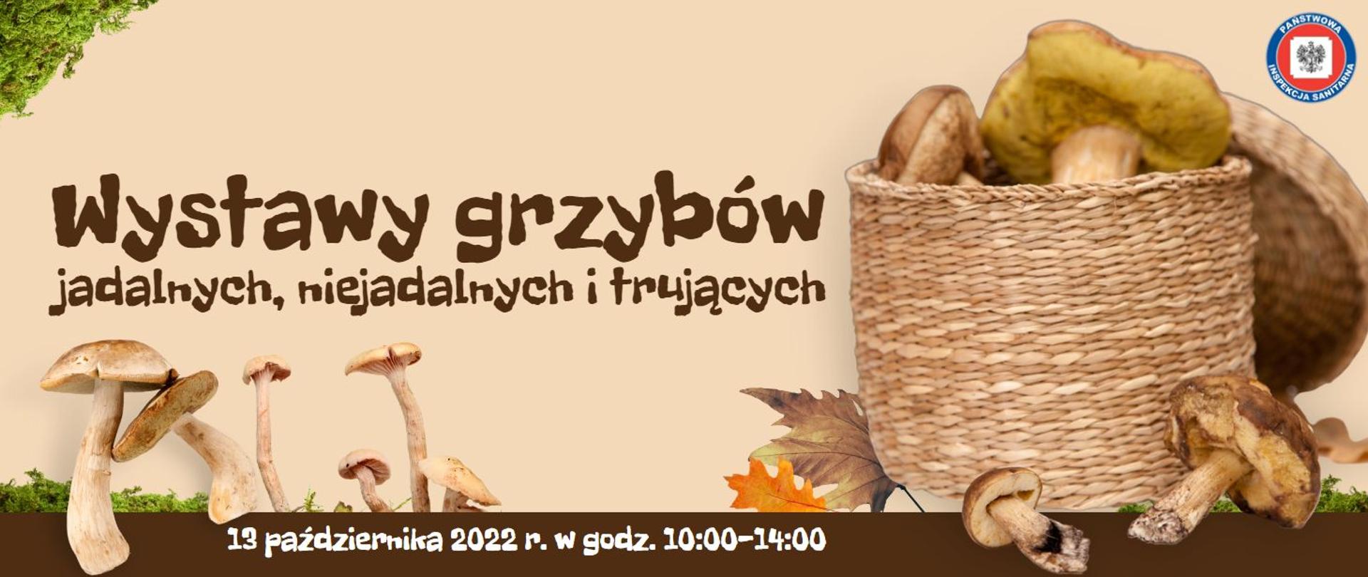 Wystawa grzybów