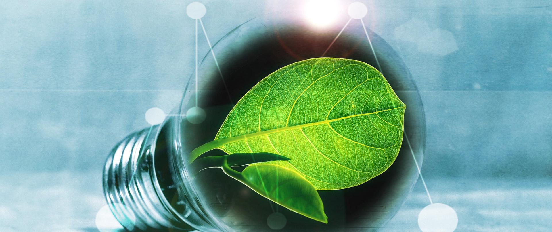 Dlaczego energia jądrowa to przyszłość każdego z nas?