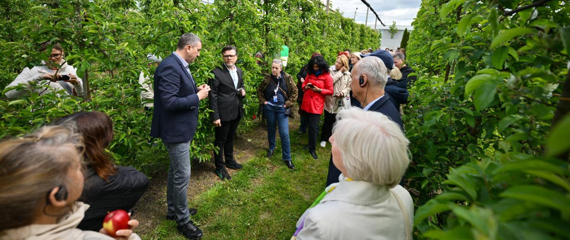 Na zdjęciu grupa osób na terenie sadów