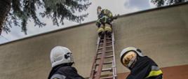 egzamin praktyczny – uczestnicy asekurują drabinę i prowadzone działania gaśnicze