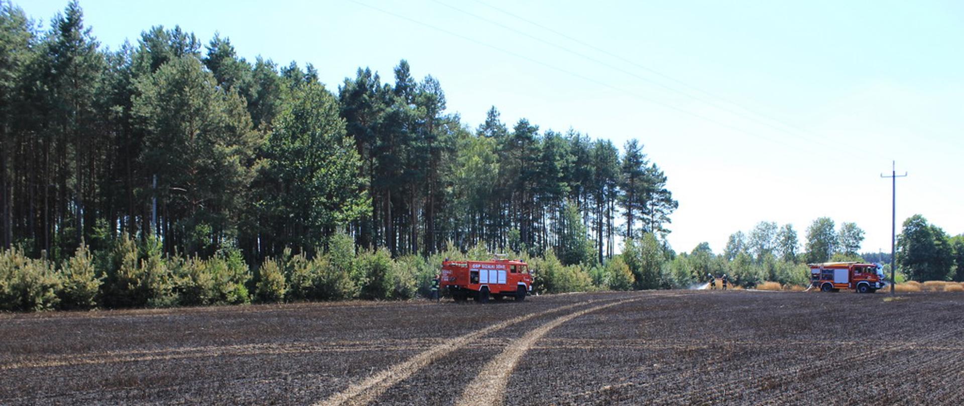 Strażacy dogaszają pogorzelisko po pożarze zboża