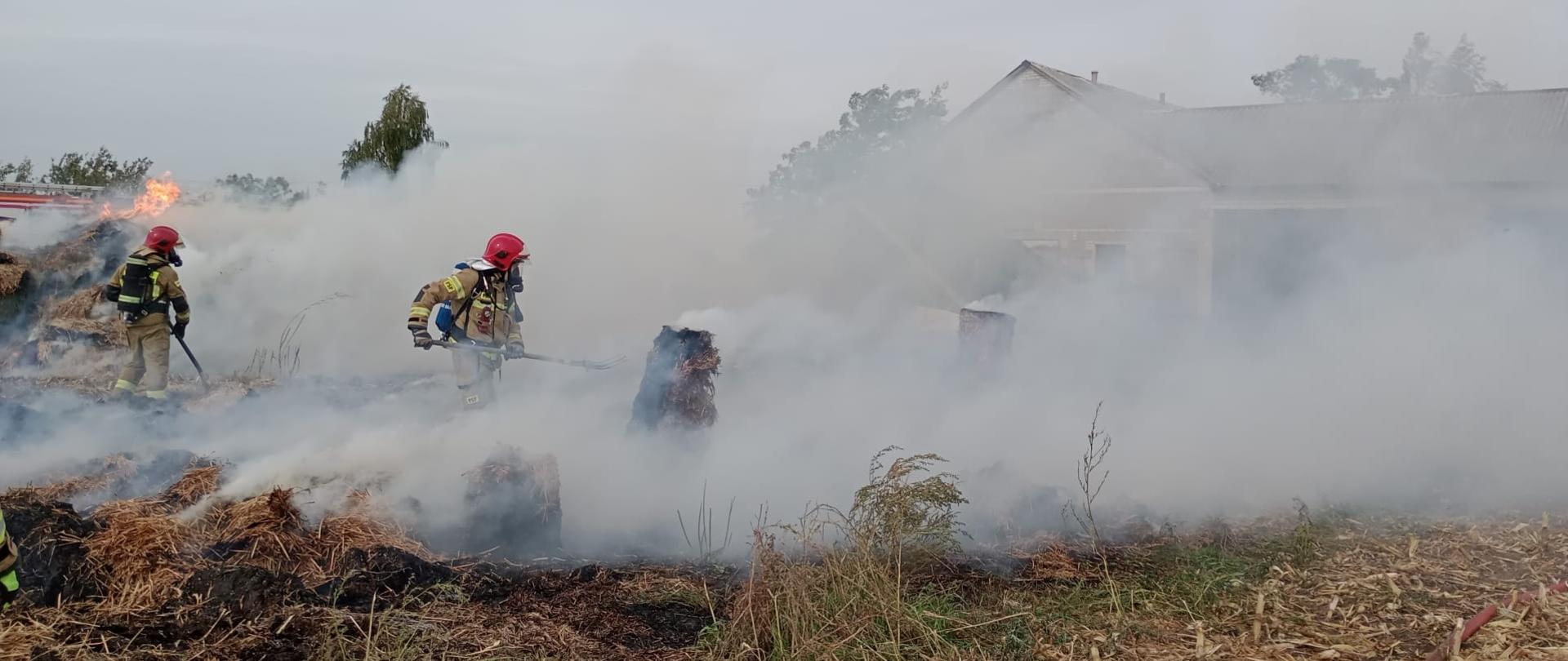Na zdjęciu widać dwóch strażaków ubranych w żółte stroje, czerwone hełmy oraz aparaty ochrony dróg oddechowych. Strażacy w siwym dymie gaszą pożar słomy. W tle widać ogień, budynek gospodarczy oraz częściowo samochód strażacki. Jest widno.