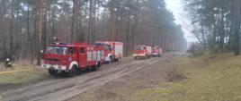 Zdjęcie przedstawia cztery samochody pożarnicze na tle drzewostanu sosnowego.