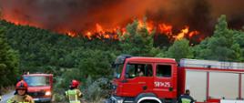 Zdjęcie przedstawia strażaków gaszących pożary lasów w Grecji.
W tle las i pożar.

