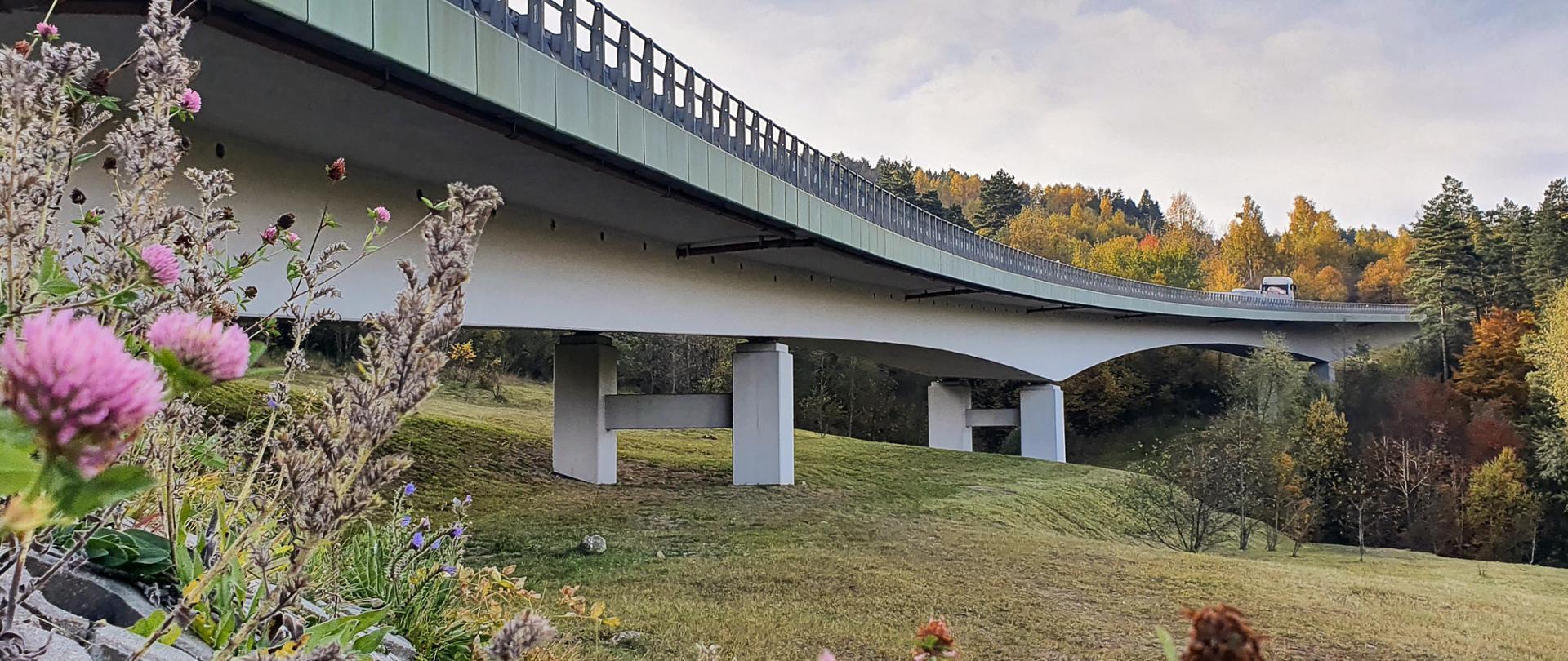 Fotografia mostu z poziomu terenu wykonana jesienią. Most ukształtowany w poziomie podparty podporami ramowymi z betonu zbrojonego. Gzyms mostu został wykonany w kolorze zielonym, ładnie wkomponowując się w krajobraz górski.
