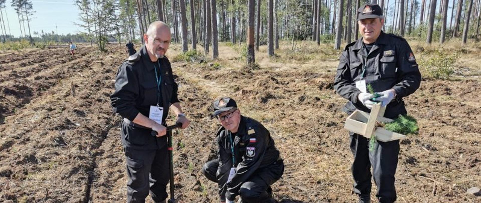 INAUGURACJA II EDYCJI AKCJI #sadziMY