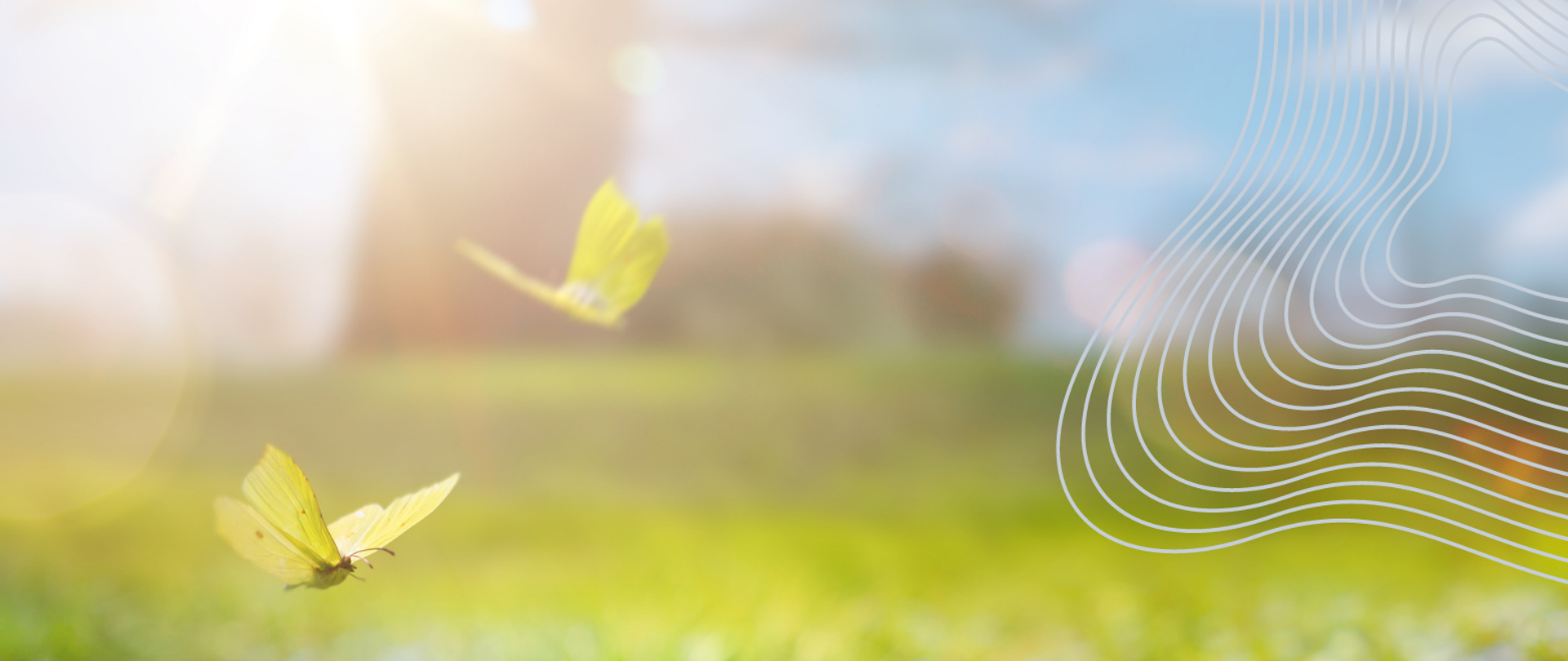 Plakat w kolorystyce zielonej z widokiem na łąkę z kwiatami informujący o koncercie klasy klarnetu i wiolonczeli zatytułowany "Wiosenne Inspiracje".