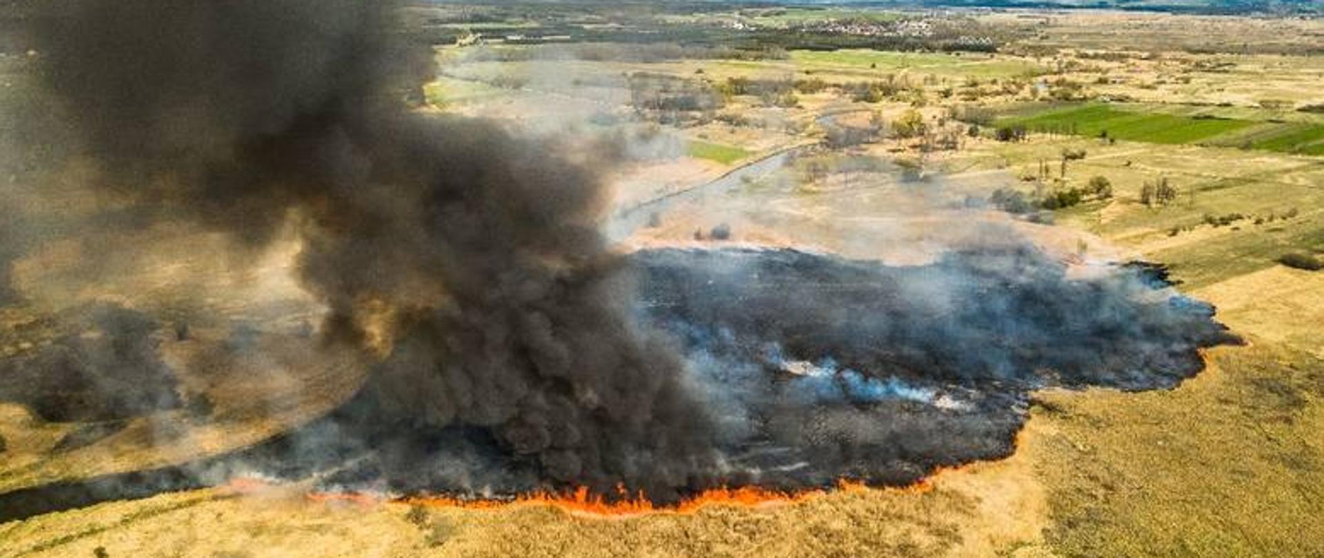 Stop pożarom traw i lasów!