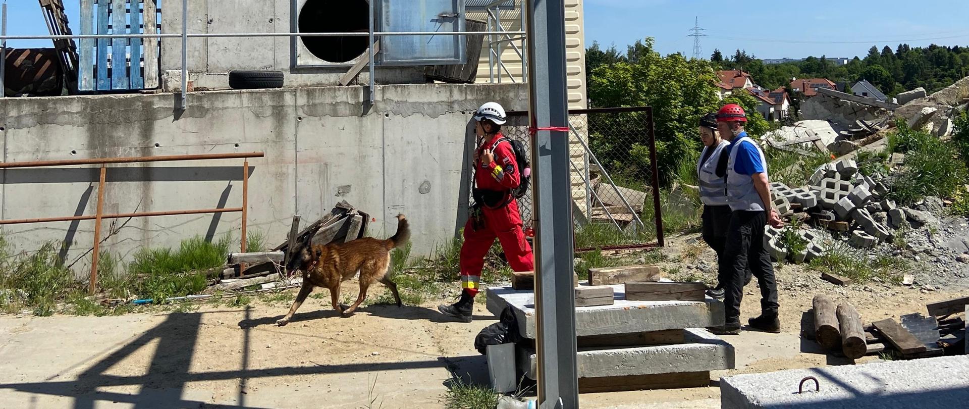 Gruzowisko. Różne elementy konstrukcyjne, betonowe płyty, porozrzucane elementy pozoracji. Ubrany w czerwony uniform i biały kas przewodnik, przed nim pies. Za nim dwie osoby w białych kamizelkach. 