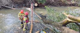Strażacy usuwają drzewo z koryta potoku.