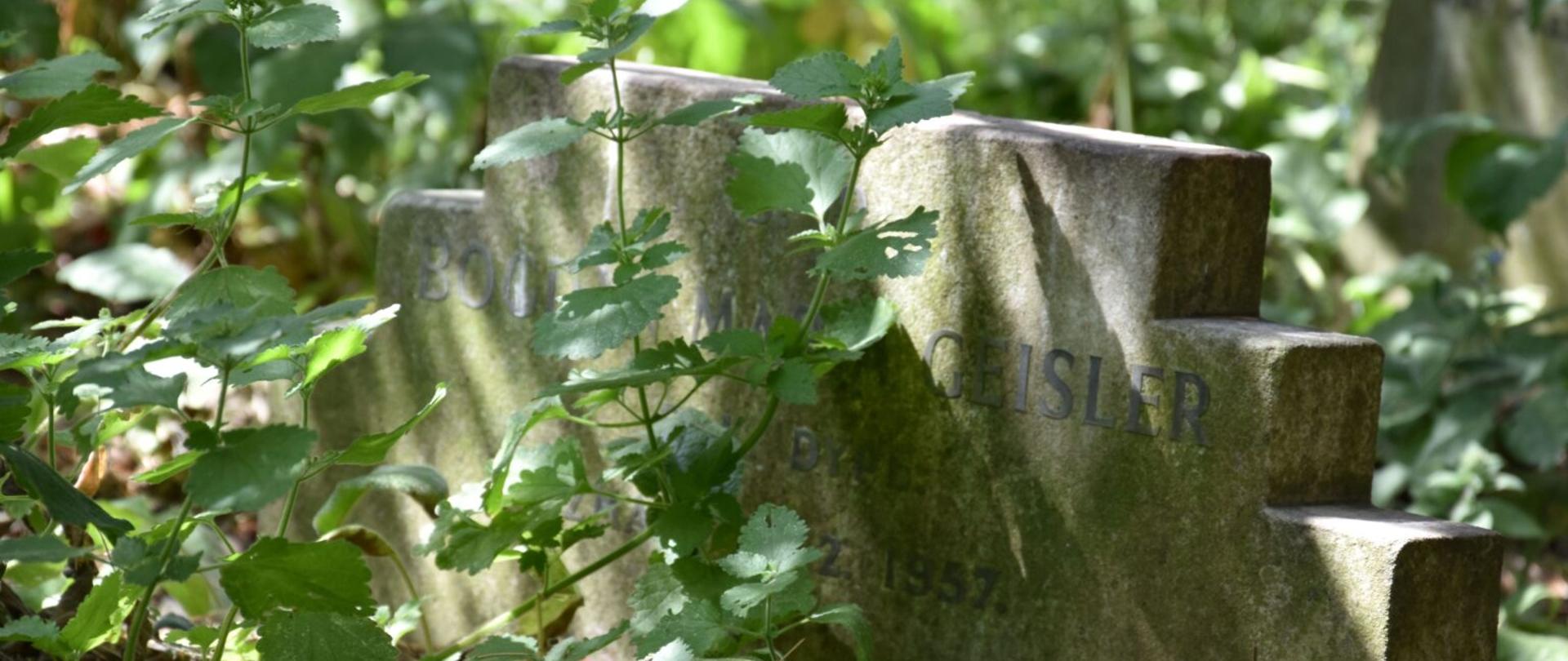 Opieka nad polskimi grobami w Wielkiej Brytanii