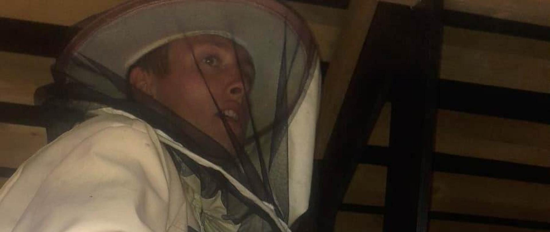 Strażak zbiera gniazda os.