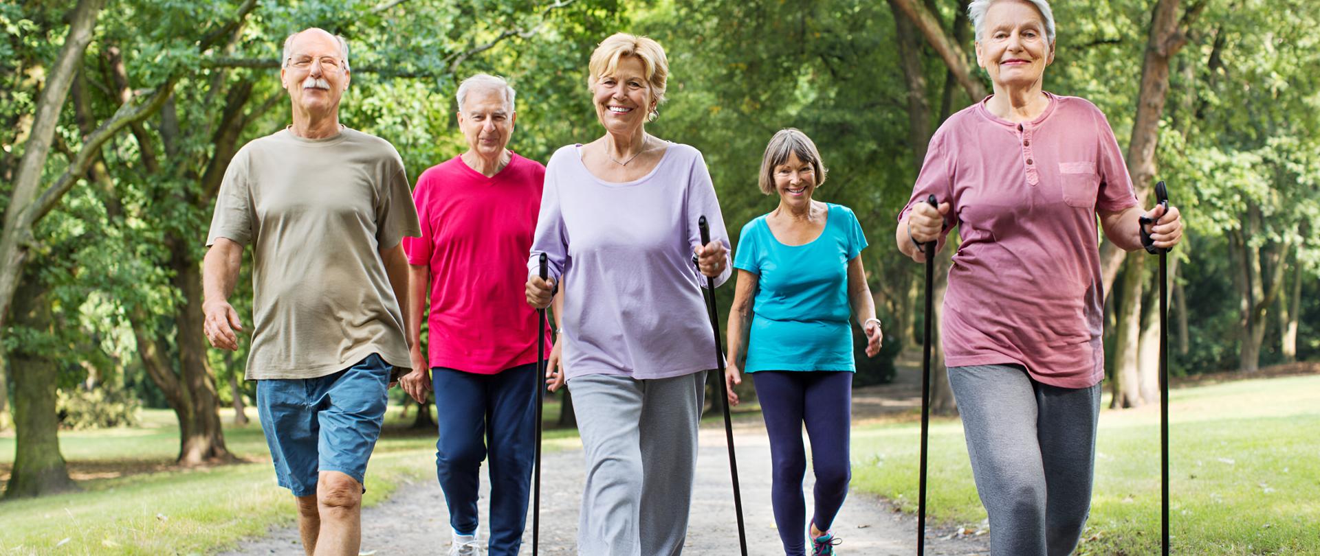 grupa seniorów spacerująca w kijkami w parku