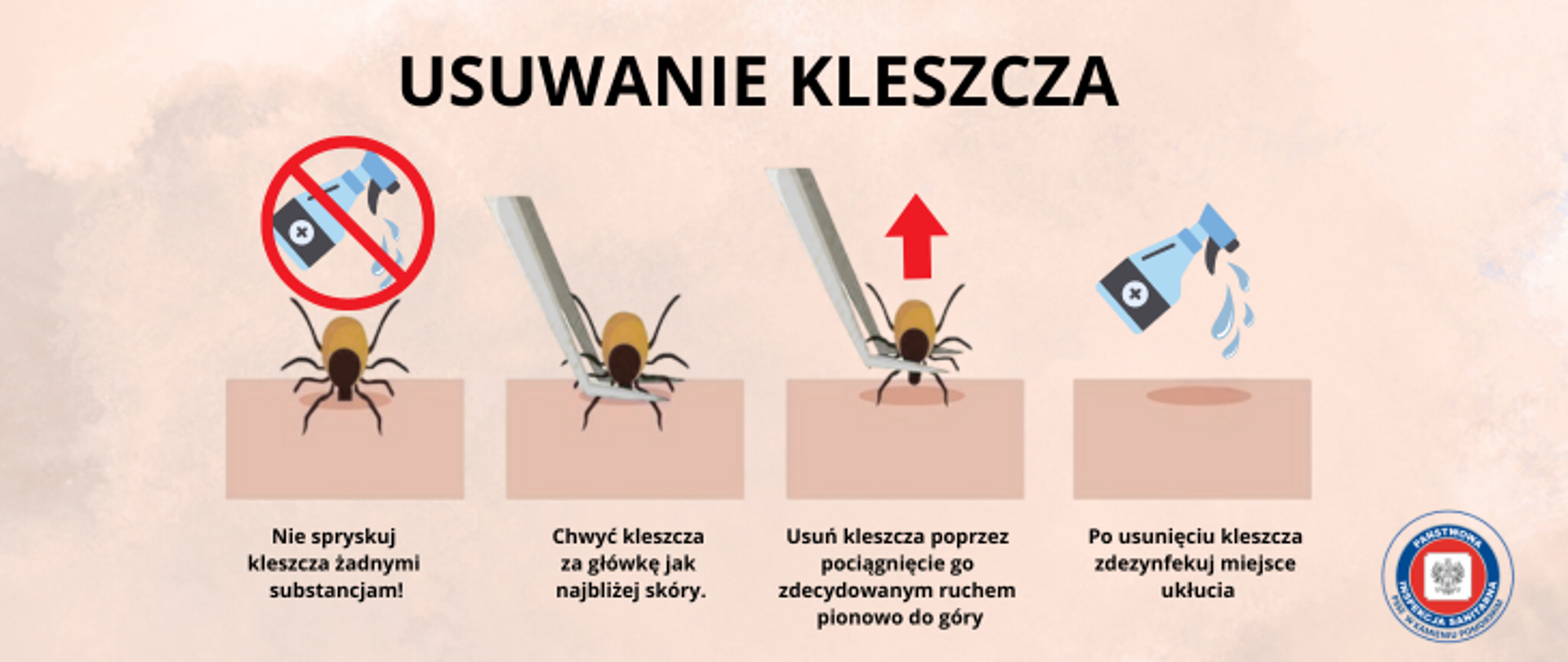 Grafika przedstawia usuwanie kleszcza w 4 krokach. Etap pierwszy to kleszcz wbity w skórę, a nad nim przekreśłony płyn do dezynfekcji. Krok drugi to kleszcz uchwycony przez pęsetę przy samej skóze. Krok trzeci to kleszcz usunięty już ze skóry. w ostatnim kroku widnieje płyn do dezynfekcji, którym należy spryskać mejse po ukłuciu. Na góze znajduje się napis JAK USUNĄĆ KLESZCZA. W prawym dolnym rogu znajduje się logo Inspekjci Sanitarnej.