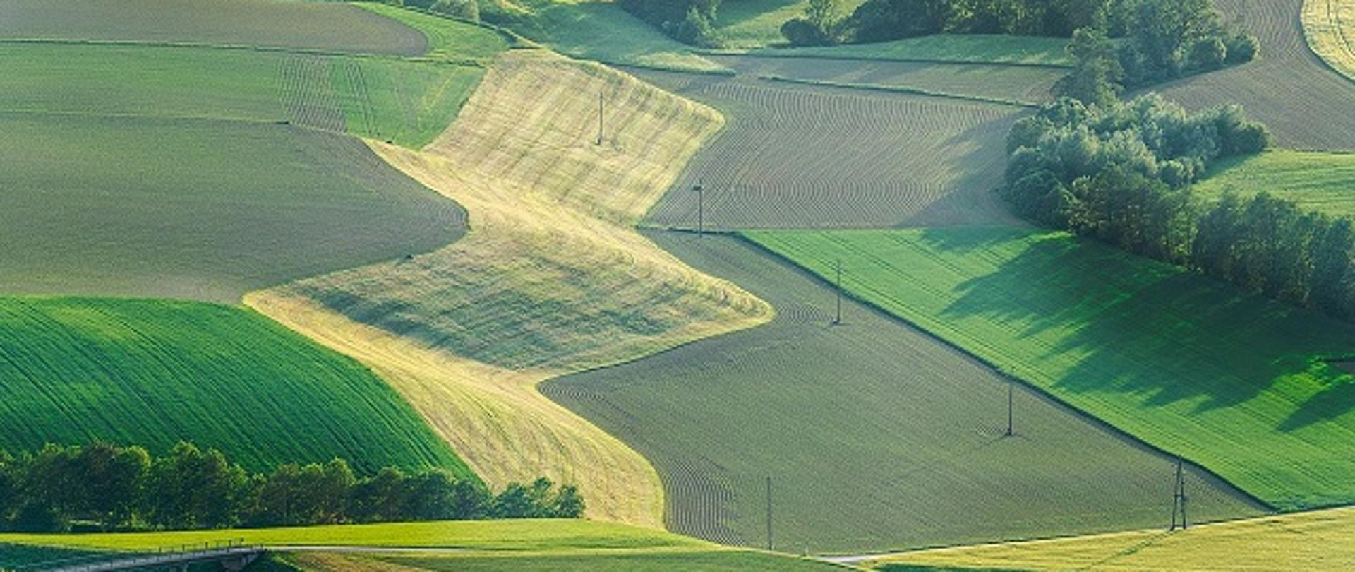 pola z oddali, ze zbożami, rzepakiem i zielenią
