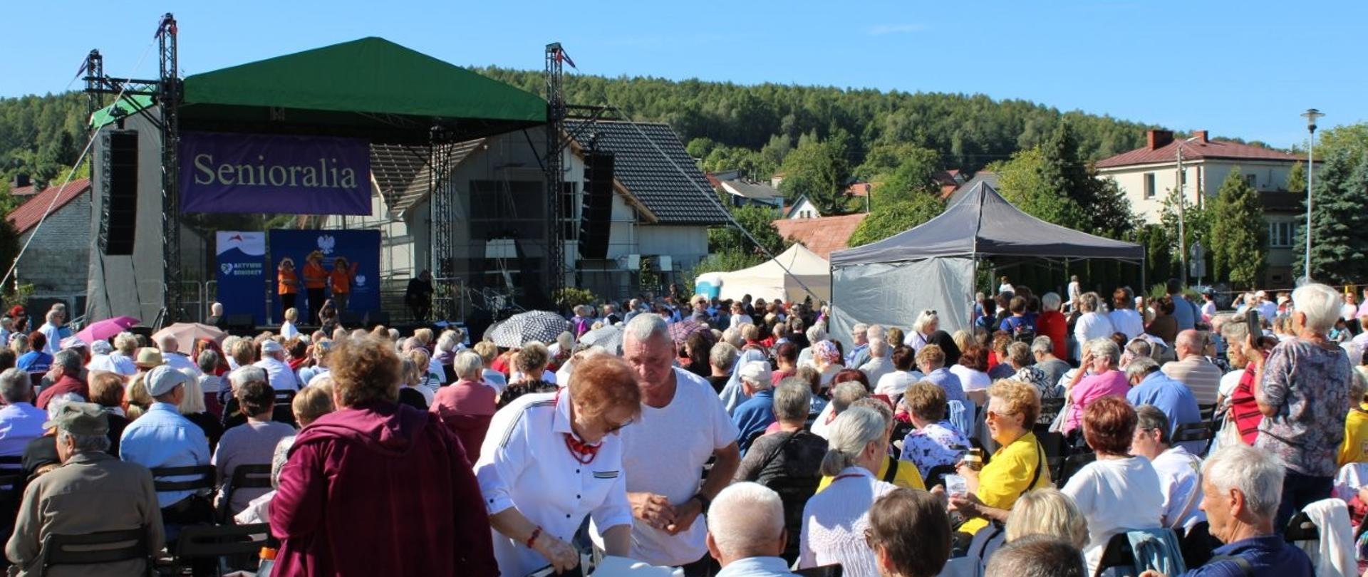 Liczna grupa seniorów zgromadzonych przed sceną, na której mogli obserwować liczne występy artystyczne
