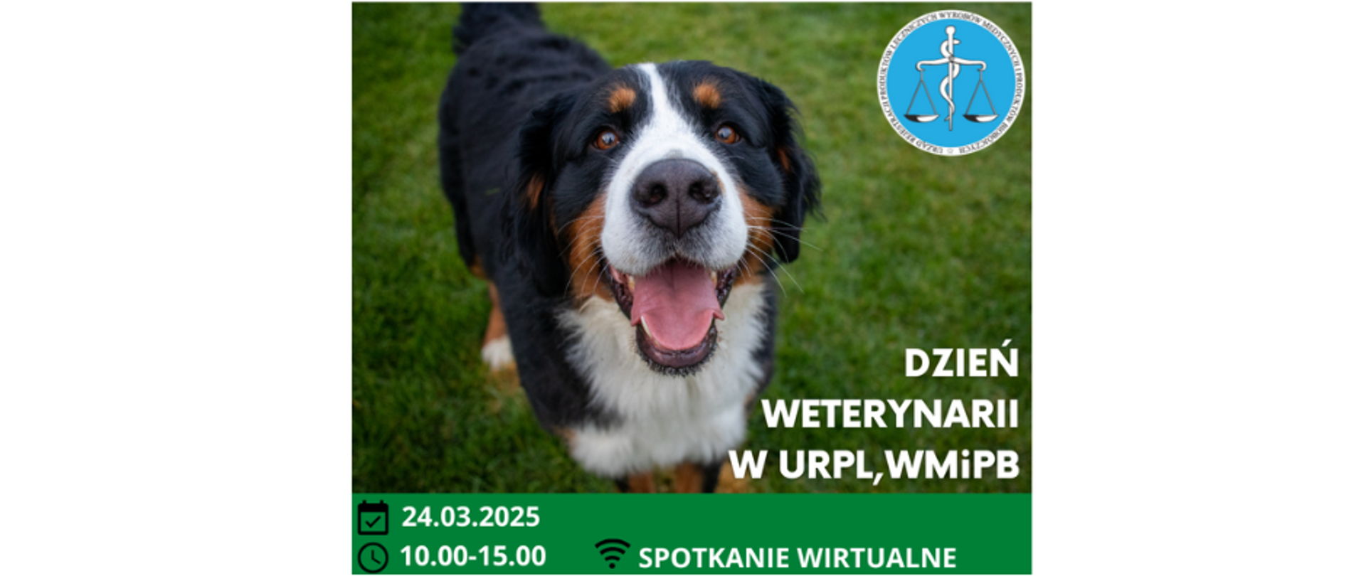 grafika - dzień wet.