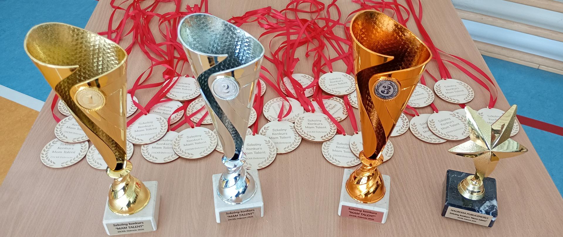 Szkolny Konkurs Mam Talent ZSCKR Dobrocin w Dobrocinie