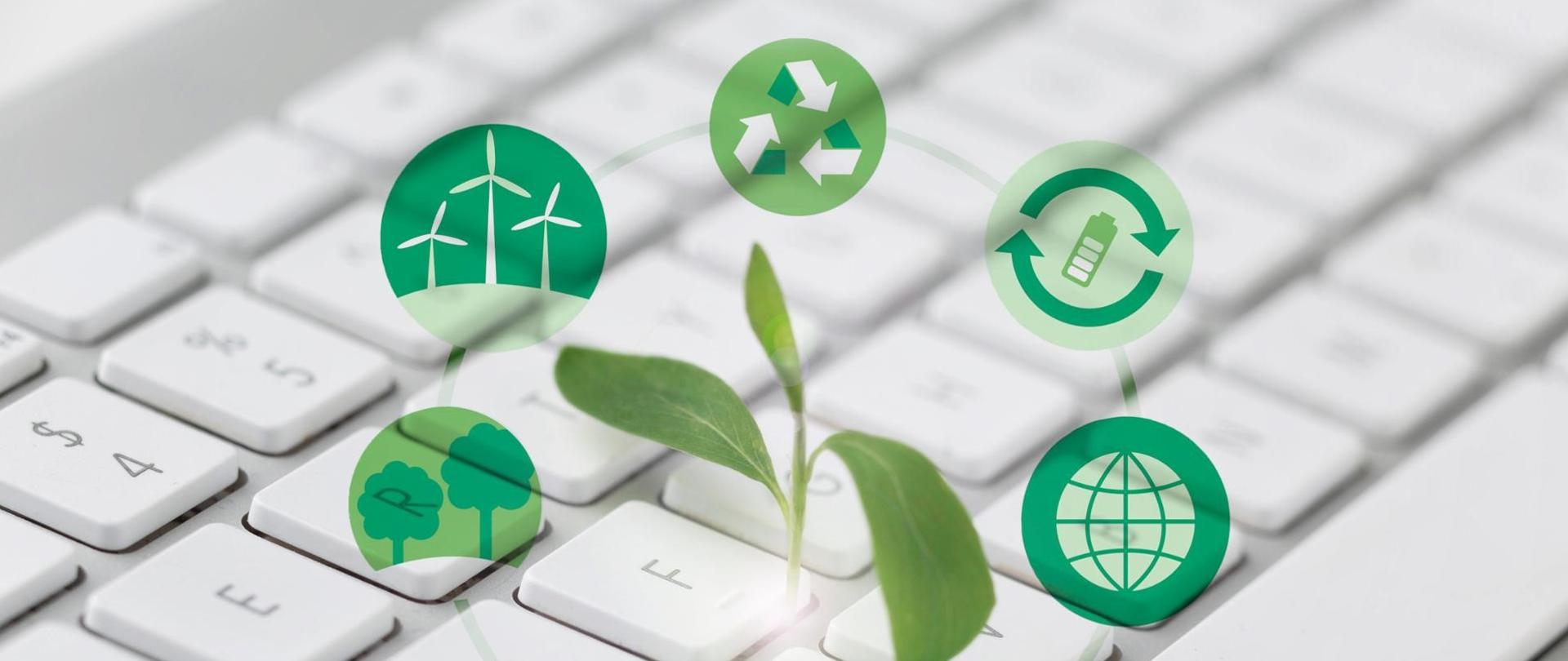 OZE_zdjęcie_do_artykułu