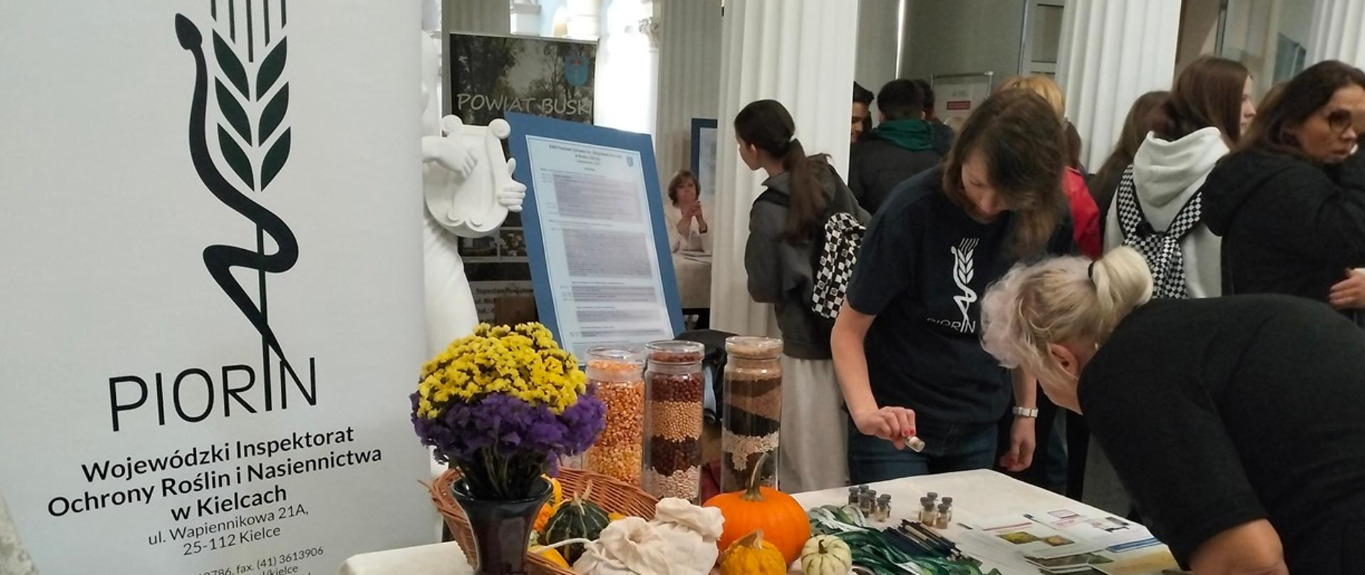 Na stole nakrytym jasnym obrusem znajdują się ulotki informacyjne, gadżety z logo inspekcji, wiklinowy kosz z dyniami, wazon z suszonymi kwiatami oraz słoje z nasionami. Pani inspektor ubrana w granatową koszulkę z logo PIORiN trzyma w ręce słoiczek z nasionami, które ogląda kobieta zainteresowana naszym stoiskiem. W tle grupa nastolatków, białe ozdobne kolumny oraz baner z logo PIORiN – charakterystycznym kłosem.